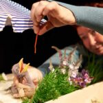 Frau Meier, die Amsel