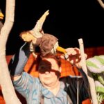 Frau Meier, die Amsel