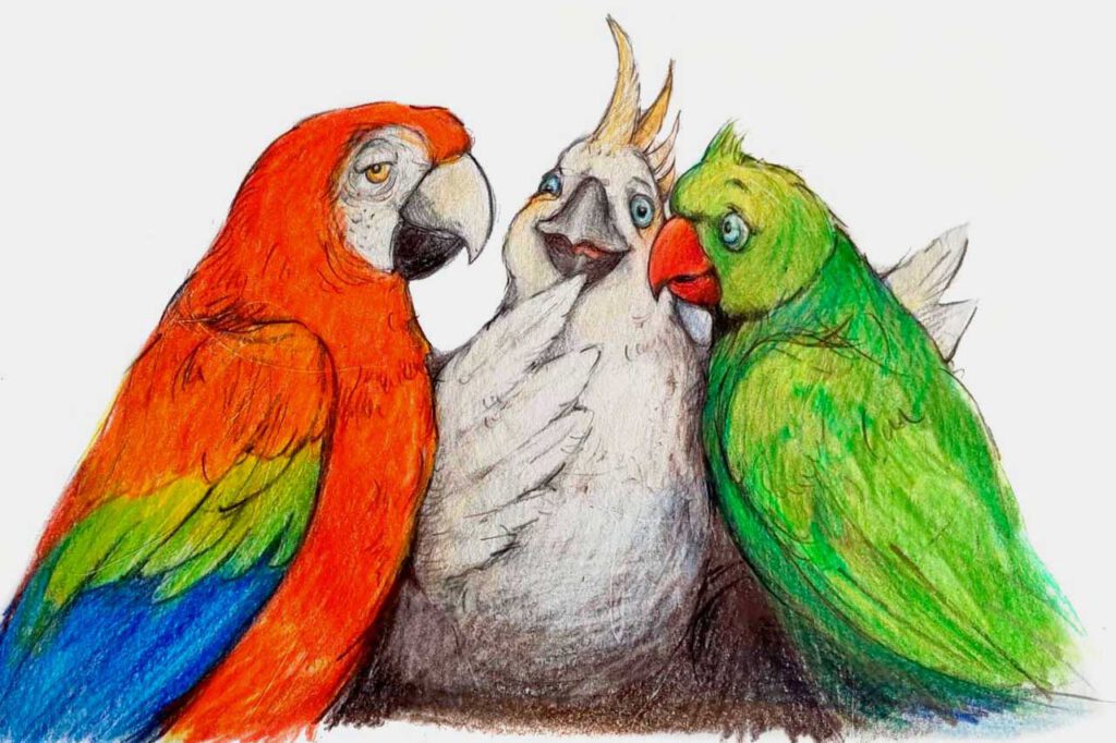 Polly und ihre Papageien