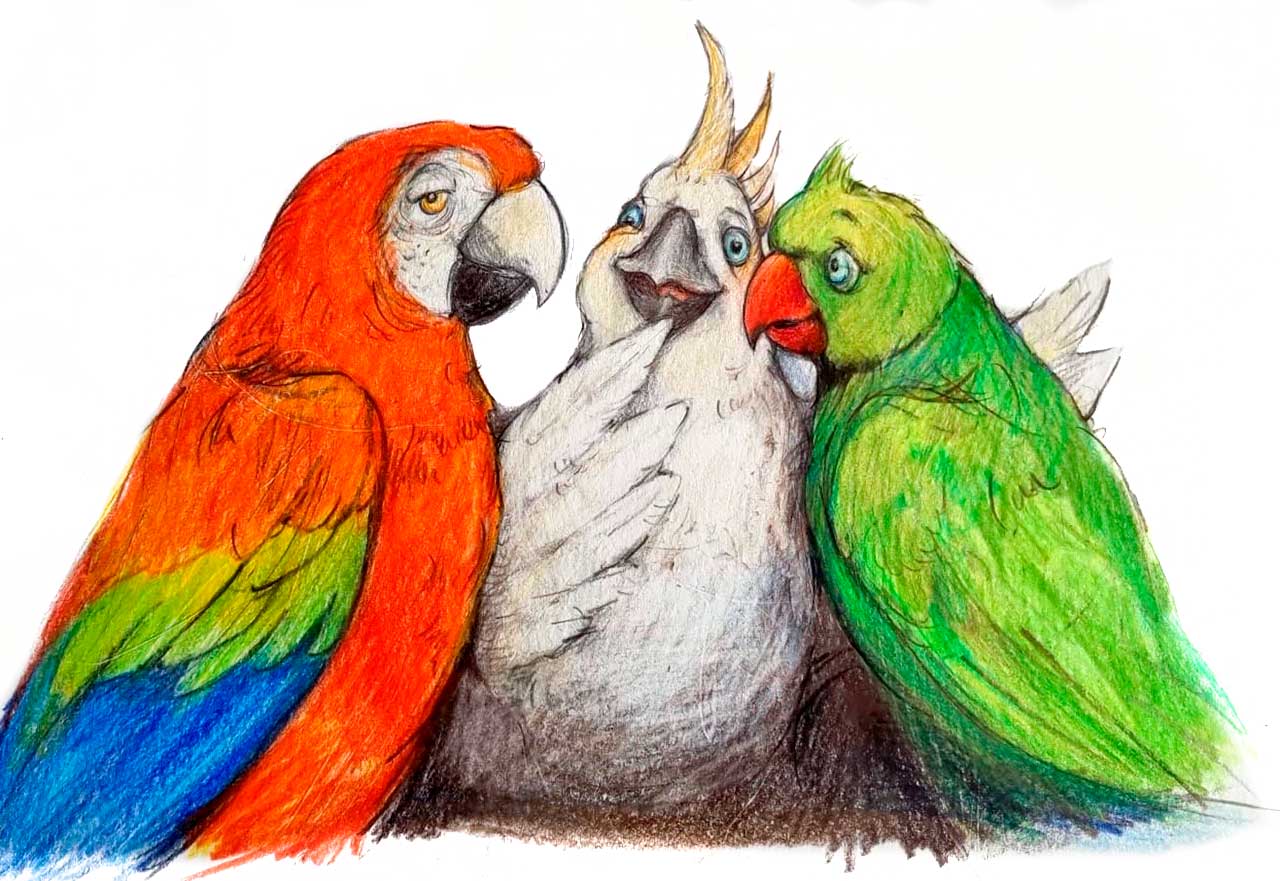Polly und ihre Papageien